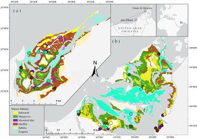 Multi-habitat carbon stock assessments to inform nature-based solutions for coastal seascapes in arid regions